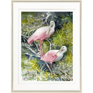 CL- SPOONBILL 2